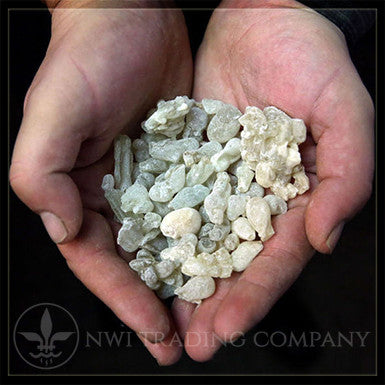 What is Boswellia Sacra?